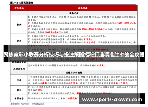 聚焦竞彩小联赛分析技巧与投注策略揭秘打造精准胜率的全攻略